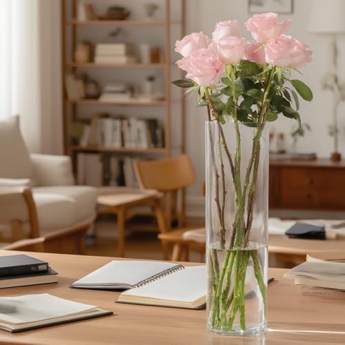 RosPynnm Flower Vase Acrylic Cylinder,15.75" Tall Clear Vase for Centerpieces,Wedding Decorative,Home Décor, Non Breakable Plastic, 3.94"X15.75" Tall Round - Clear - size: Single - 3.94"x15.75"