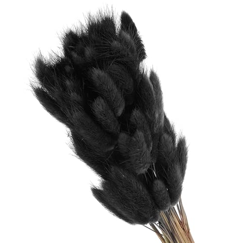 PATIKIL 15.7in Bunny Tails Dried Flowers, 80pcs Pampas Grass Decor Rabbit Tail Natural Pampas Grass Bulk Fluffy Faux Pampas Grass Dried for Home Boho Decor Vase Wedding Table, Black - color: Black