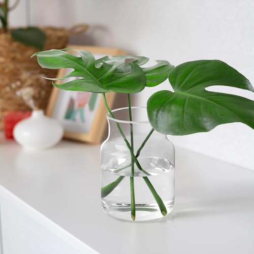 Clear Glass Vase, Large Flower Vase, 8-inch Glass Flower Vase for Plants, Wide Mouth Vase for Home, Wedding, Living Room, Dining Table - size: 6"W x 8"H