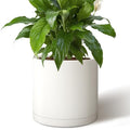 Giraffe Creation 14 Inch Cylinder Plant Pot, Modern Round Planter with Drainage Holes and Saucer, Durable Plastic Flower Pot for Indoor Outdoor Plants, White - color: White 14 Inch