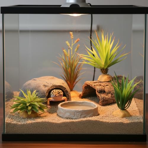 JIHAQUA Reptile Terrarium Decor 2-Piece Realistic Succulent Set,Lifelike Plastic Plants for Geckos, Bearded Dragons,Snakes,Turtles,Lizards,Insects Reptile Habitats - color: Green