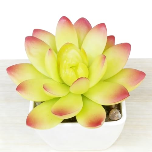 Artificial Succulent Plants in Pot - 1Pcs 5-Horned Lotus Yellow Realistic Fake Potted Succulents for Home Decor, Desk, Office, Bathroom, Windowsill - Indoor Houseplant for Bedroom, Kitchen, Shelf - color: 5-horned Lotus Yellow