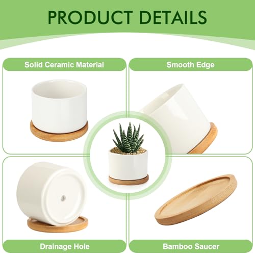 ZOUTOG Succulent Pots 3.1 Inch,6 Pack Succulent Planters,Small Pots for Plants with Drainage and Tray,White Ceramic Flower Planters for Indoor Plants,Home,Office,Desk - size: 6 Pack