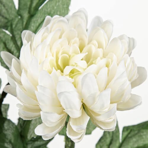 Hollyone 5Pcs Fake Mums Flowers White Artificial Chrysanthemum Flowers Silk 22.8inch Long Stem Floral Arrangements Bouquets Faux Spider Mum Flower Pincushion Flower Bush Spring Home Decor - color: White