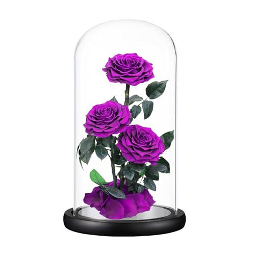 Purple Roses Handmade Rose in Glass Dome, Preserved Flowers Never Withered, Birthday Gifts for Women (13 inch) - color: Purple, size: X-Large