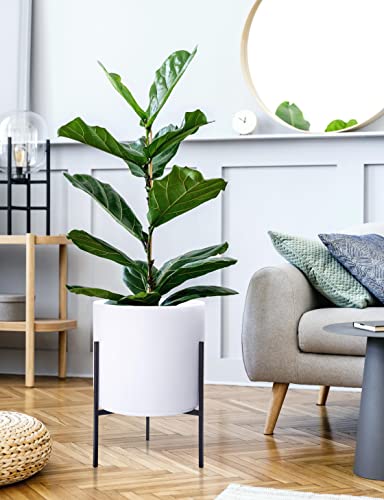 D'vine Dev Modern White Plants Pot Cylinder Planter with Heavy Duty Stand, X-Large 14 Inch Pot, 21 Inch with Stand Height, 96-T-A-4 - color: White, size: X-Large 14 Inch