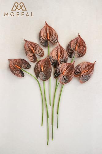 Real Touch Anthurium Artificial Flowers, 8pcs Brown Faux Tropical Flowers with Stems for Boho Wedding Bouquets, Rust Fall Centerpieces & Jungle Party Decoration - color: Brown