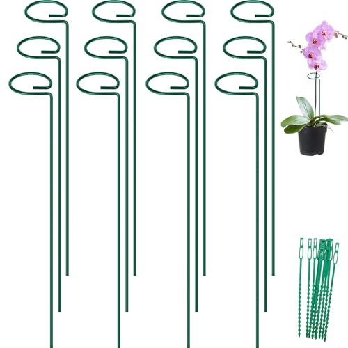 FEED GARDEN 24 Inch 12 Pack Plant Support Stakes, Metal Garden Flower Stakes and Supports for Outdoor Plants, Plant Stem Support with 24 Twist Ties for Amaryllis Lily Rose Peony Tomatoes Gladiolus - size: 24 Inch