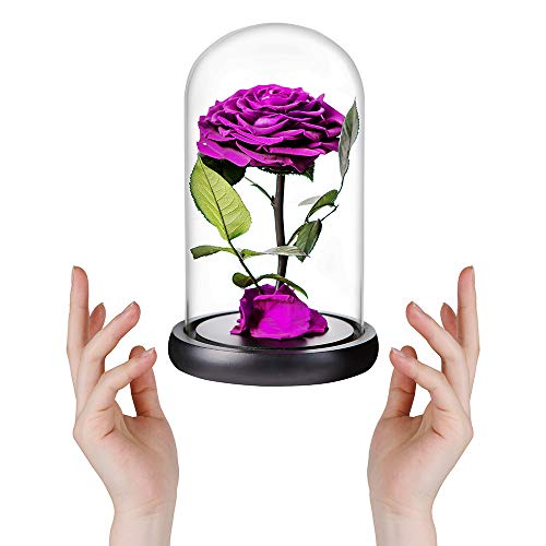 Purple Roses Handmade Rose in Glass Dome, Preserved Flowers Never Withered Romantic Gifts for Her, Mother's Day, Birthday Gifts for Women (9 inch, Purple) - color: Purple, size: Large