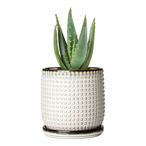 D'vine Dev 4 Inch Ceramic Beaded Stoneware Planter Pot - Flower Pot with Drainage Holes and Saucers for Indoor Succulent Plants or Flowers, Smoked White, 27-C-Z-1 - color: Smoked White, size: 4.3 Inch