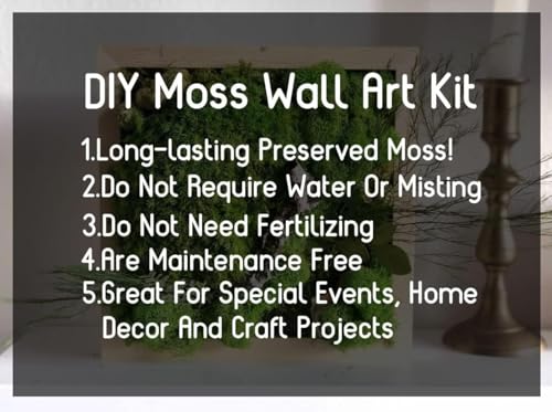 Preserved Reindeer Moss Natural Green DIY Kit Gardenning Art Wall Decor Florist Decor Easter Table Decor Wedding - color: Color Mix-Green-(01+02+03+06+12), size: 1 lb
