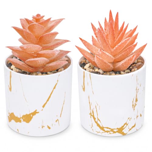 Der Rose Set of 2 Fall Artificial Succulent Plants, Mini Fake Succulents, Fall Decorations for Office Desk Bathroom Shelf Bedroom, Thanksgiving Decor - color: 2-orange