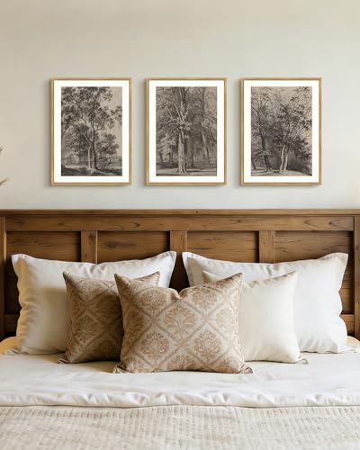 PHOPAGO Vintage Tree Framed Wall Art Retro Forest Wall Decor Nature Wilderness Sketch Paints Modern Bedroom Living Room Decor - 11x14in Natural Framed - color: Brown Tree, size: 14L" x 11W" x 3 Pcs Natural