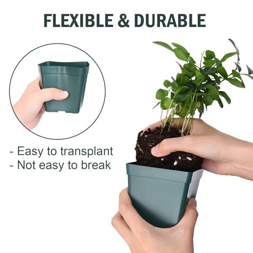 June Fox 100 Pack Green Square Nursery Pots with Drainage Holes 3.3 Inches Flexible Plastic Seedling Pots Square Pots for Plants, Succulent, Flower, with Plant Labels - color: Green