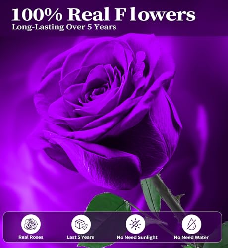 Preserved Flowers for Delivery,Purple Rose Bouquets That Last 5 Years,Birthday Flowers Gifts for Women Mom Grandma Wife Friends,Mothers Day Gift,Romantic Floral for Anniversary or Valentine’s Day - color: Purple, size: Single Rose