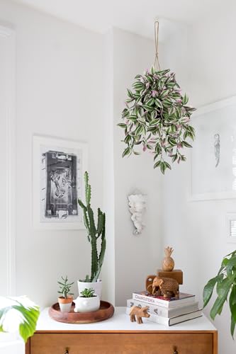 Briful Fake Hanging Plants 17.7" Faux Watermelon Peperomia Silk Plants with Black Pot Artificial Hanging Greenery for Home Garden Balcony Outdoor Patio Decor - color: Pale Pink