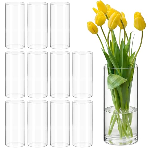 12 Pack Glass Cylinder Vases 8 Inch Tall Clear Flower Bulk Vase for Centerpieces Hurricane Floating Candle Holder for Table Home Home Decor Floral Shelf Party Dining Wedding Holiday Decoration - size: 8 Inch
