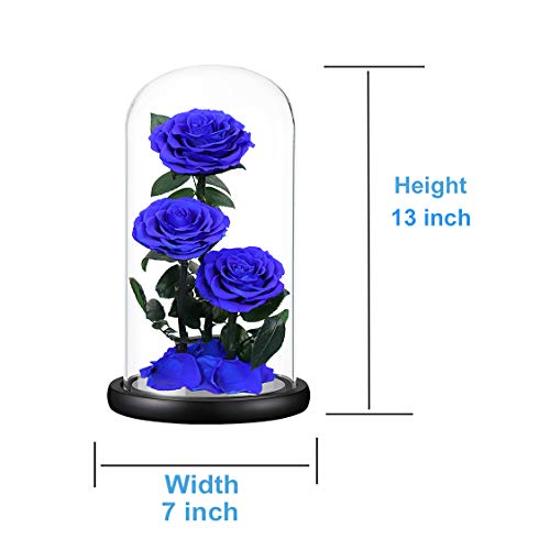 Preserved Roses Handmade Preserved Flowers in Glass Dome, Blue Rose Never Withered, Birthday Gifts for Women (13 inch) - color: Royal Blue, size: X-Large
