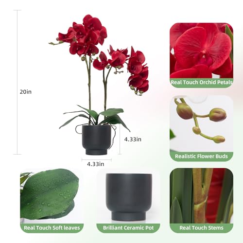 CXGS Orchids Artificial Flowers Real Touch Fake Flowers in Ceramic Pot 20" Red Faux Orchid Plant Lifelike Silk Phalaenopsis for Centerpiece Hotel Home Indoor Decor - color: Red- Black Vase