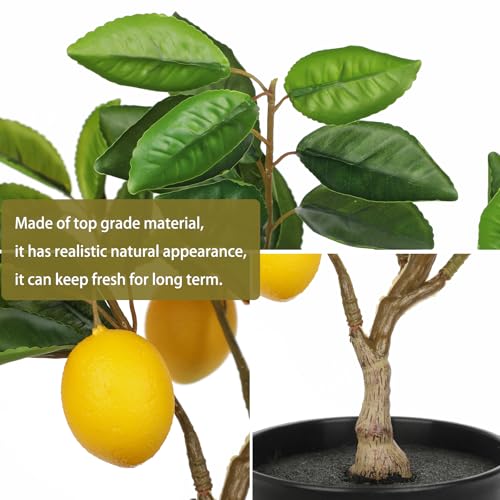 Artificial Potted Plants 19.7 inches Small Fake Lemon Tree Artificial Lemons Citrus Tree with Black Pot Faux Plants Indoor Lemon Decorations for Home,Office, Living Room Table, Desk - style: Plastic Pot