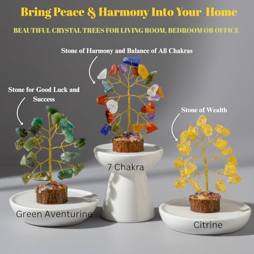 ANAYA AGATE Crystal Tree Set of 12 Unique Birthday Gifts for Women,Sister,Mom,Home Office Decor,Shelf Decoration for Positive Energy,Bring Good Luck,Money,Reiki Healing, Chakra Tree of Life Gift Sets - color: Gemstone Tree Set