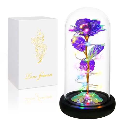 Childom Mothers Day Mom Gifts for Mom,Birthday Gifts for Women Grandma,Flowers for Delivery Prime,Colorful Purple Light Up Rose in A Glass Dome,Anniversary Valentines Roses Gift for Her Wife Daughter - color: Purple Colorful Large