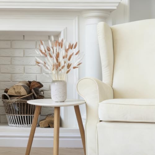 CISDUEO 120pcs Dried Bunny Tails Flowers Lagurus Ovatus Tail Dried Flowers Pampas Grass White and Light Brown Natural Dried Floral Arrangement for Boho Decor Home Wedding DIY Farmhouse Table 17" - color: White, Light Brown