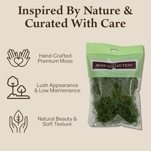 Preserved Spanish Moss - Premium Decorative Moss for Crafts, Home Décor, Art, Design & DIY Projects - Real Moss - Non-Toxic, USA-Made (Green Apple, Small, 2-Pack) - color: Green Apple, size: 2-Pack, Small