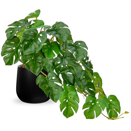 DILATATA Fake Plants Indoor 8 Inch Artificial Monstera Plant in Black Ceramic Pot - Faux Potted Tropical Palm Plant for Home Aesthetic Decor Living Room Shelf Office - color: Monstera #Ceramic