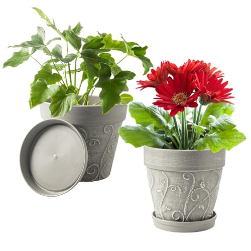 Melphoe Plant Pots Indoor with Drainage & Saucer, 2Pack 8 inch Flower Pots Outdoor Planters for Indoor Plants Garden Home Decor Cactus Succulent, Rigid Plastic (Imitation-Terracotta) Vine-Embossed - color: Cement Grey Color, size: 8''