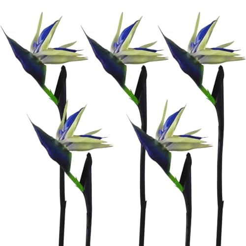 Calcifer 32'' Real Touch Bird of Paradise Artificial Flowers Bouquet for Home Garden Decoration/Wedding Party Decor (Package Quantity: 5 Stems Blue) - color: Package Quantity: 5 Stems Blue