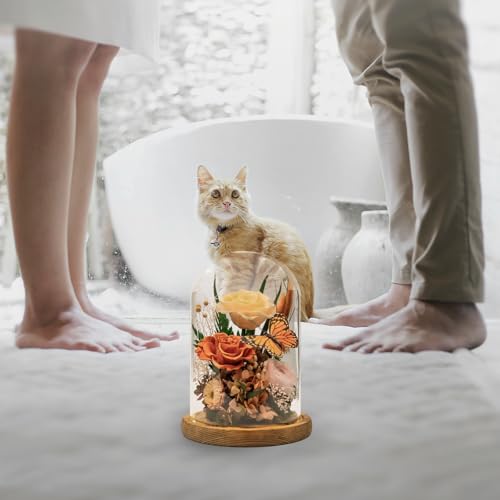 Forever Gifts for Her: Big Flower Big Love-Graduation Flowers for Daughter Wife Mom-Eternal Flower with Butterfly-Flowers for Delivery Prime on Anniversary Valentines Birthday (Orange) - color: Orange1
