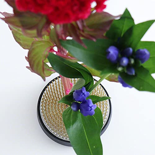 Wazakura Ikebana Kenzan Japanese Flower Holder, Made in Japan, Floral Arranging Pin Frog, Round - 2.4"(61mm) Brass