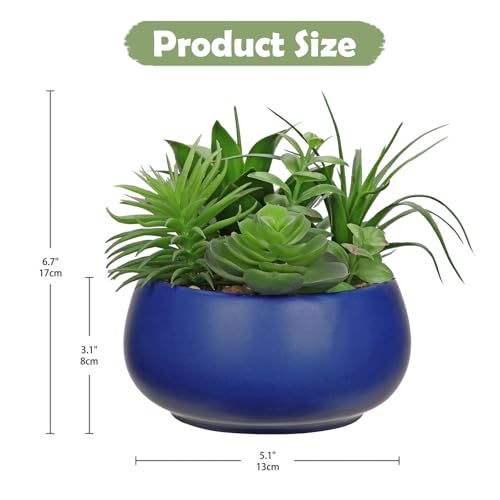 Hollyone Fake Plants Artificial Succulents in Pots Faux Succulent Arrangement Potted Plant in Blue Ceramic Planter Bowl for Home Decor Office Desk Bathroom Shelf Living Room Indoor Decorations - color: Premium Blue