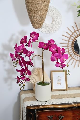Hot Pink Artificial Orchids Flowers 5PCS Faux Orchid Stems 35.4" Phalaenopsis Branches for Tall Vase for Bridal Shower Home Party Wedding Decoration (Hot Pink) - color: Hot Pink