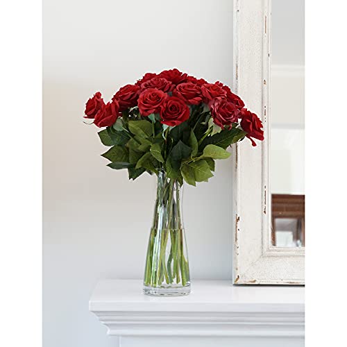 FiveSeasonStuff Fake Roses Wedding Flowers Real Touch Silk Red Artificial Flowers 12 Stems - color: Red