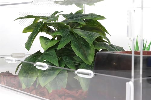 Reptile Plants for Terrarium, Ball Python Tank Decor Accessories fit Bearded Dragon Crested Leopard Gecko Lizard Chameleon Snake Frog Tortoise Hermit Crab - Fake Sweet Potato Vine - color: D-fake Sweet Potato Vine