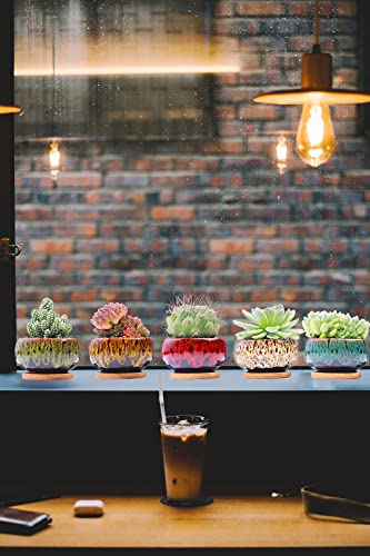 Cute Ceramic Succulent Garden Pots, Planter with Drainage and Attached Saucer, Set of 5 -Plants Not Included (Round) - color: Round