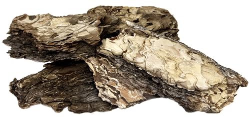 SuperMoss (23255 Decorative Bark – Natural Orchid Bark for Indoor Plants, Terrariums, Fairy Gardens & Reptile Tanks | Home Decor, Potting Soil, & Floral Arrangements, 1,564 cu in, Natural - color: Natural Brown, size: 1,564 cu in
