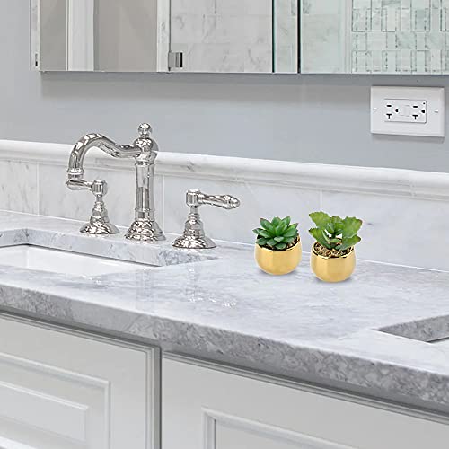 Briful Small Artificial Succulents in Pots Set of 2 Realistic Faux Succulents Plants with Gold Ceramic Pots Cute Mini Fake Plants Decor for Modern Home Table Office Desk Bathroom Shelf Decoration - color: Style #05