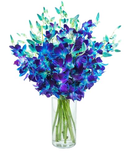 KaBloom-20 Blue Orchid Bouquet,Flowers for Valentine, Mother's Day - color: Ocean Blue, size: 20 count, style: With Vase