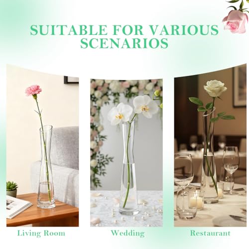 20cm/7.9inch Tall Clear Glass Thin Narrow Necked Bud Vase Slim Single Stem Flower Vase Floral Vase Centerpiece for Wedding Party Home Table Decor - size: 20cm/7.9inch