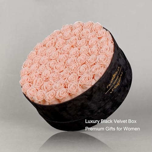 Gifts for Women – NATROSES 60 Preserved Roses in Luxury Black Velvet Box, Preserved Flowers for Delivery Gift for Her, Elegant Rose for Birthday, Mother’s Day, Christmas (Champagne Pink) - color: Champagne Pink, size: 60 Roses