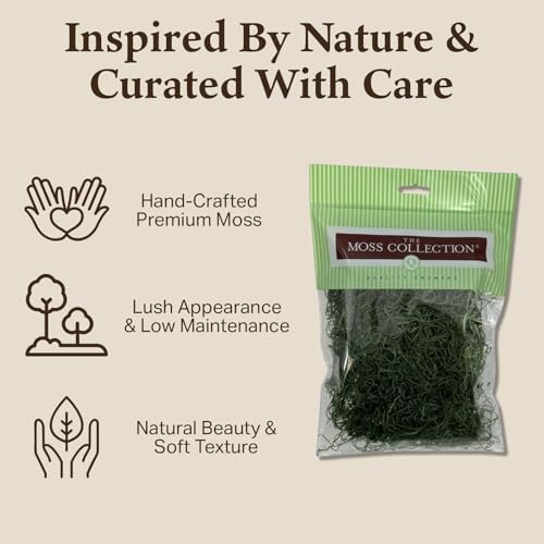 Preserved Spanish Moss - Premium Decorative Moss for Crafts, Home Décor, Art, Design & DIY Projects - Real Moss - Non-Toxic, USA-Made (Forest Green, Medium, 2-Pack) - color: Forest Green, size: 2-Pack, Medium