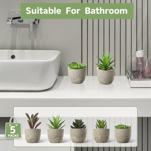 Artificial Succulent Plants in Pots, Set of 5 Mini Fake Succulents for Indoor Home Decor, Small Faux Potted Greenery for Office Desk, Shelf, Bathroom, or Modern Boho Rustic Room Decoration