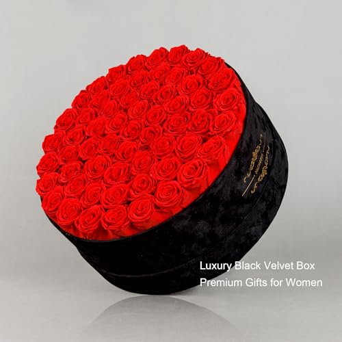 Gifts for Women – NATROSES 60 Preserved Roses in Luxury Black Velvet Box, Preserved Flowers for Delivery Gift for Her, Elegant Rose for Birthday, Mother’s Day, Christmas (Red) - color: Red, size: 60 Roses