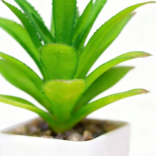 Artificial Succulent Plants in Pot - 1Pcs Bromeliads Realistic Fake Potted Succulents for Home Decor, Desk, Office, Bathroom, Windowsill - Indoor Houseplant for Bedroom, Kitchen, Shelf - color: Bromeliads