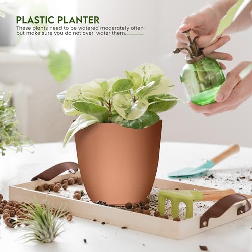 Utopia Home - Plastic Terracotta Pots with Drainage - 7/6.6/6/5.3/4.8 Inches Flower Pots for Indoor Planter - Pack of 5 Plastic Planters, Cactus, Succulents Pot - color: Terracotta, size: Pack of 5