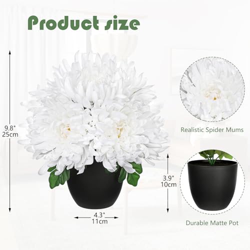 Briful Fake Mums Flower in Black Pot Realistic Silk Chrysanthemums Artificial Flowers Fall Mums for Home Decor Indoor Wedding Farmhouse Centerpiece Table, White - color: White