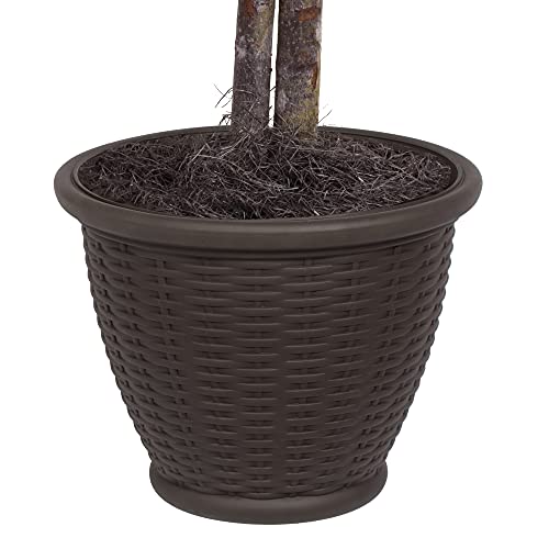 Vickerman 4' Indoor Artificial Green Smilax Bush, Brown Plastic Container. - color: Dark Green, style: Vickerman Everyday 4' Artificial Green Smilax Bush in Brown Plastic Container